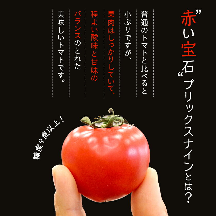 【ふるさと納税】【令和8年3月発送開始】糖度9度以上!赤い宝石のようなフルーツトマト　ブリックスナイントマト1ケース_ トマト フルーツトマト 高糖度 美味しい 人気 新鮮 【配送不可地域：離島】【1210032】 - 画像2