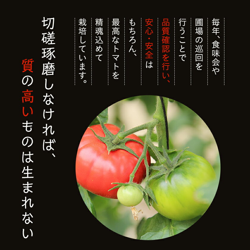 【ふるさと納税】【令和8年3月発送開始】糖度9度以上!赤い宝石のようなフルーツトマト　ブリックスナイントマト1ケース_ トマト フルーツトマト 高糖度 美味しい 人気 新鮮 【配送不可地域：離島】【1210032】 - 画像3