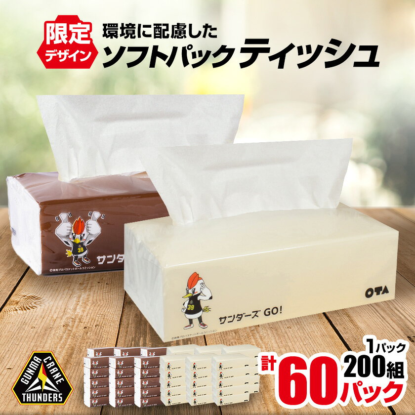 群馬クレインサンダーズ応援ソフトパックティッシュ 400枚(200組)×60パック_ ティッシュ ペーパー まとめ買い 消耗品 日用品 群馬県 太田市 送料無料 【配送不可地域：離島・沖縄県】【1422589】
