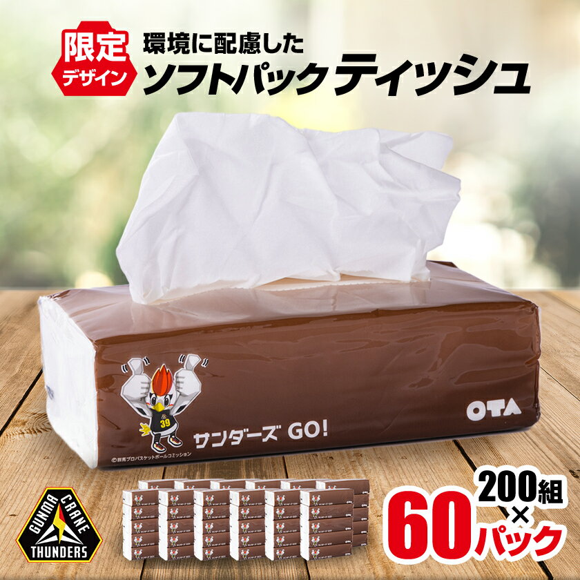 群馬クレインサンダーズ応援 ソフトパックティッシュ 400枚200組×60パック_ ティッシュ ペーパー まとめ買い 消耗品 日用品 群馬県 太田市 送料無料 【1422589】