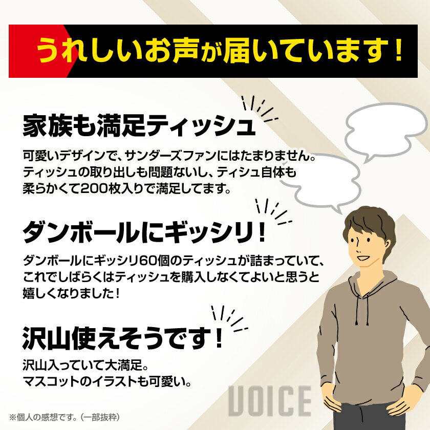 【ふるさと納税】群馬クレインサンダーズ応援ソフトパックティッシュ 400枚(200組)×60パック_ ティッシュ ペーパー まとめ買い 消耗品 日用品 群馬県 太田市 送料無料 【配送不可地域：離島・沖縄県】【1422589】 - 画像2
