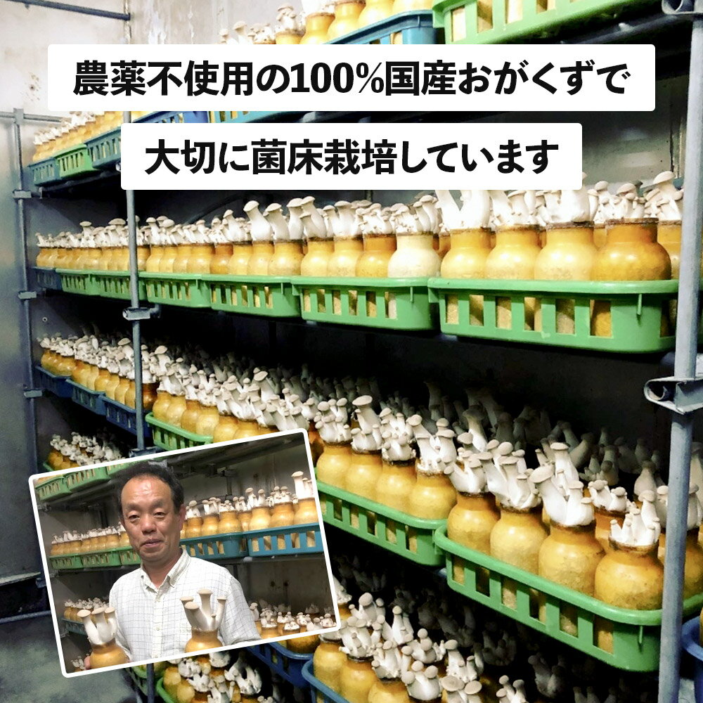 【ふるさと納税】歯ごたえが自慢のエリンギ 大 約800g - 画像2