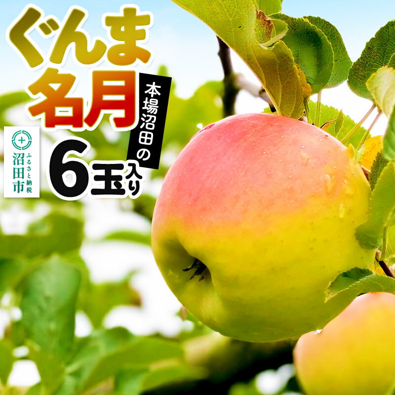《2026年11月下旬〜12月中旬発送》先行予約 果実の里 原田農園 ぐんま名月 1箱 6玉入り