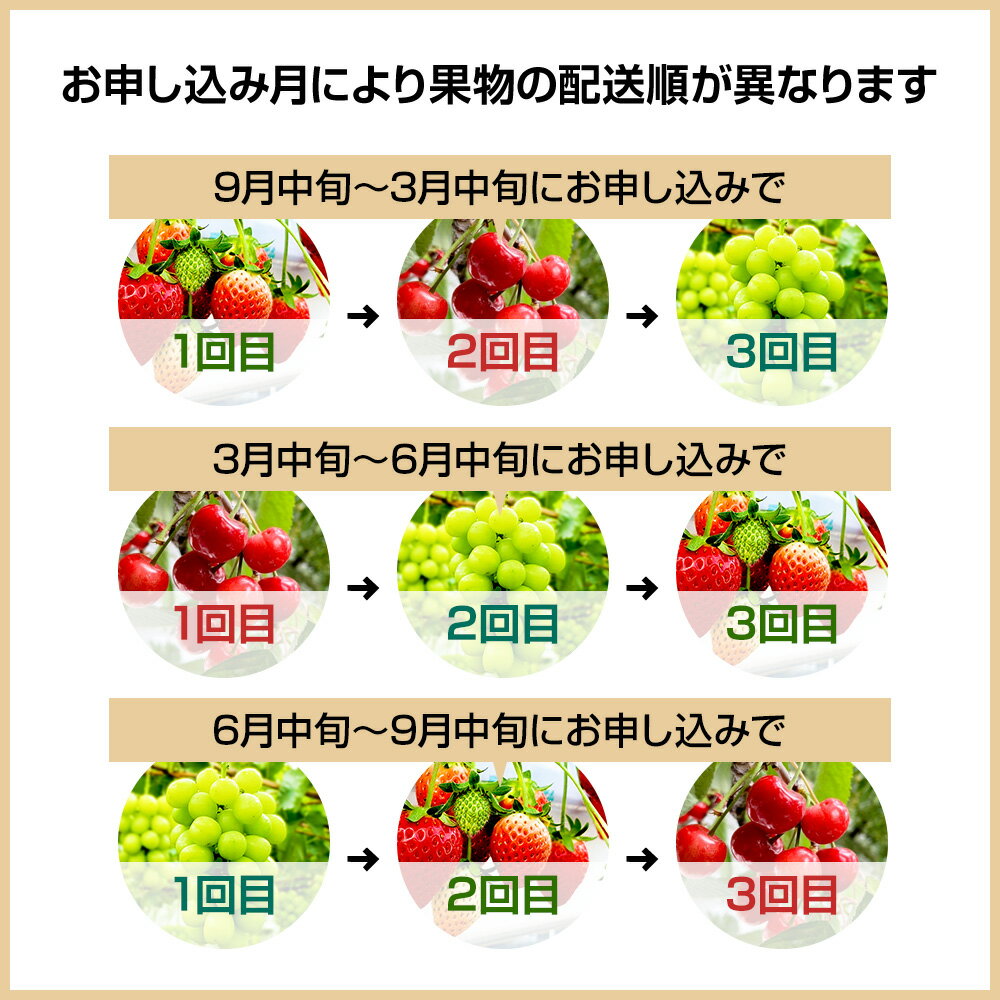 【ふるさと納税】《一部地域限定配送》3回お届け！原田農園のフルーツ定期便 いちご→さくらんぼ→シャインマスカット サムネイル3