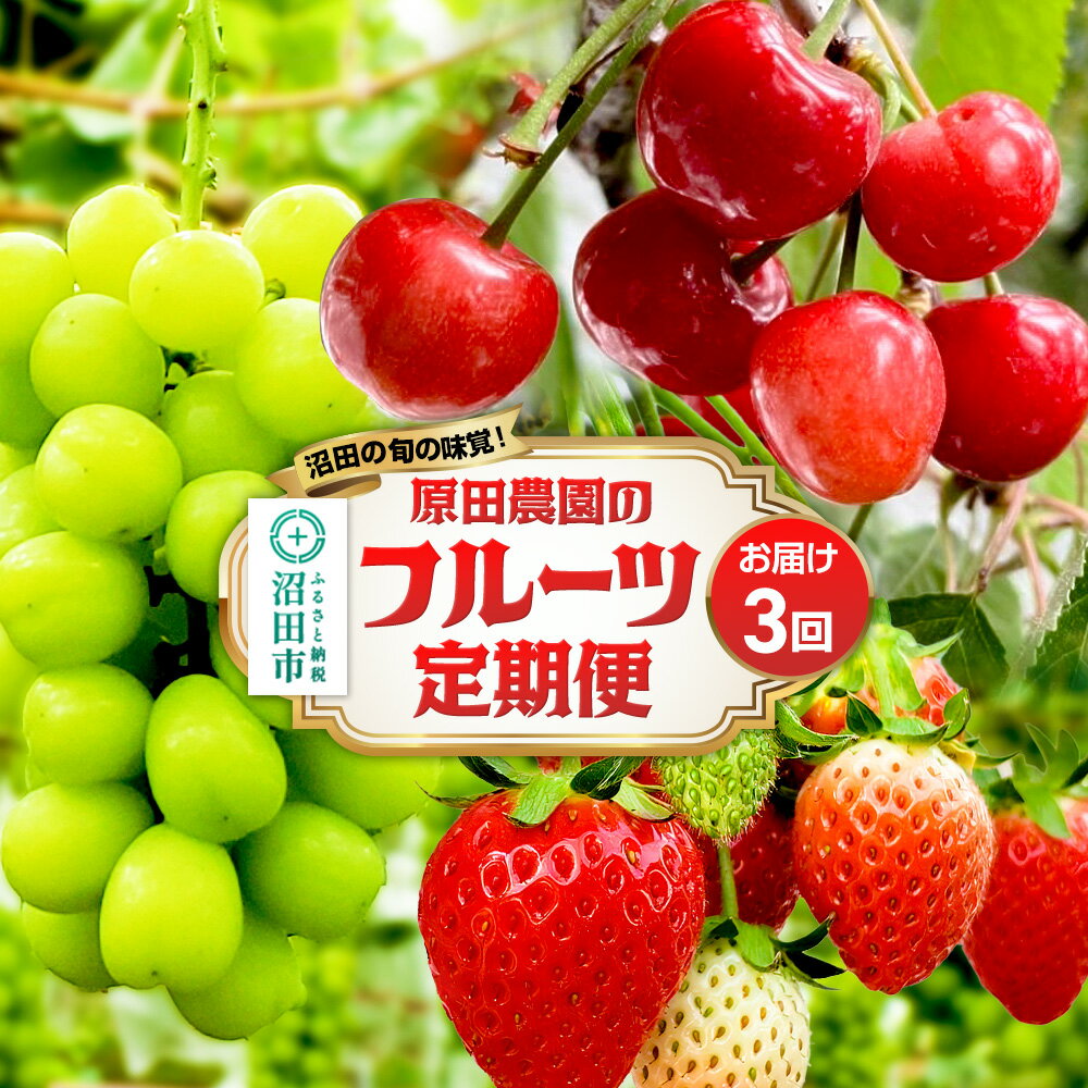 《一部地域限定配送》3回お届け！原田農園のフルーツ定期便 いちご→さくらんぼ→シャインマスカット