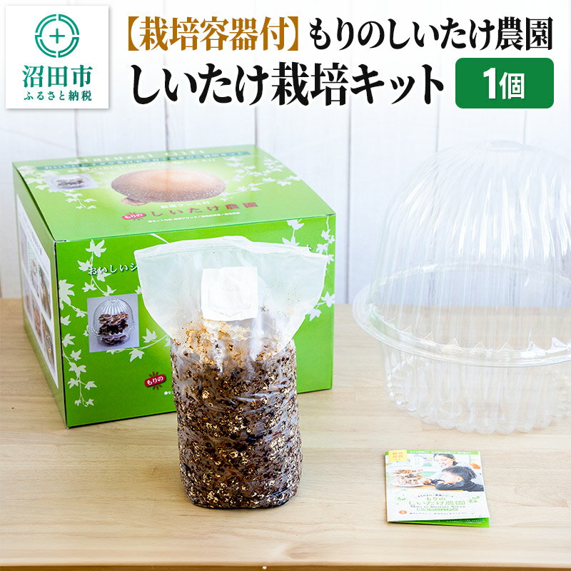 《期間限定10〜4月発送》栽培容器付 もりのしいたけ農園「しいたけ栽培キット」1個 [椎茸 シイタケ しいたけ 育成 栽培 菌床]