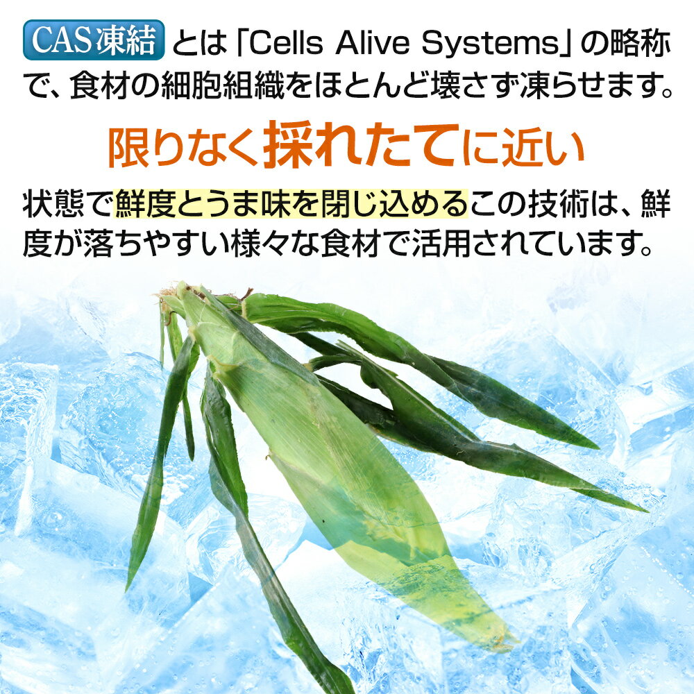 【ふるさと納税】CAS印 利根沼田産 皮付き とうもろこし 5本 株式会社沼田魚菜市場仲卸 - 画像2
