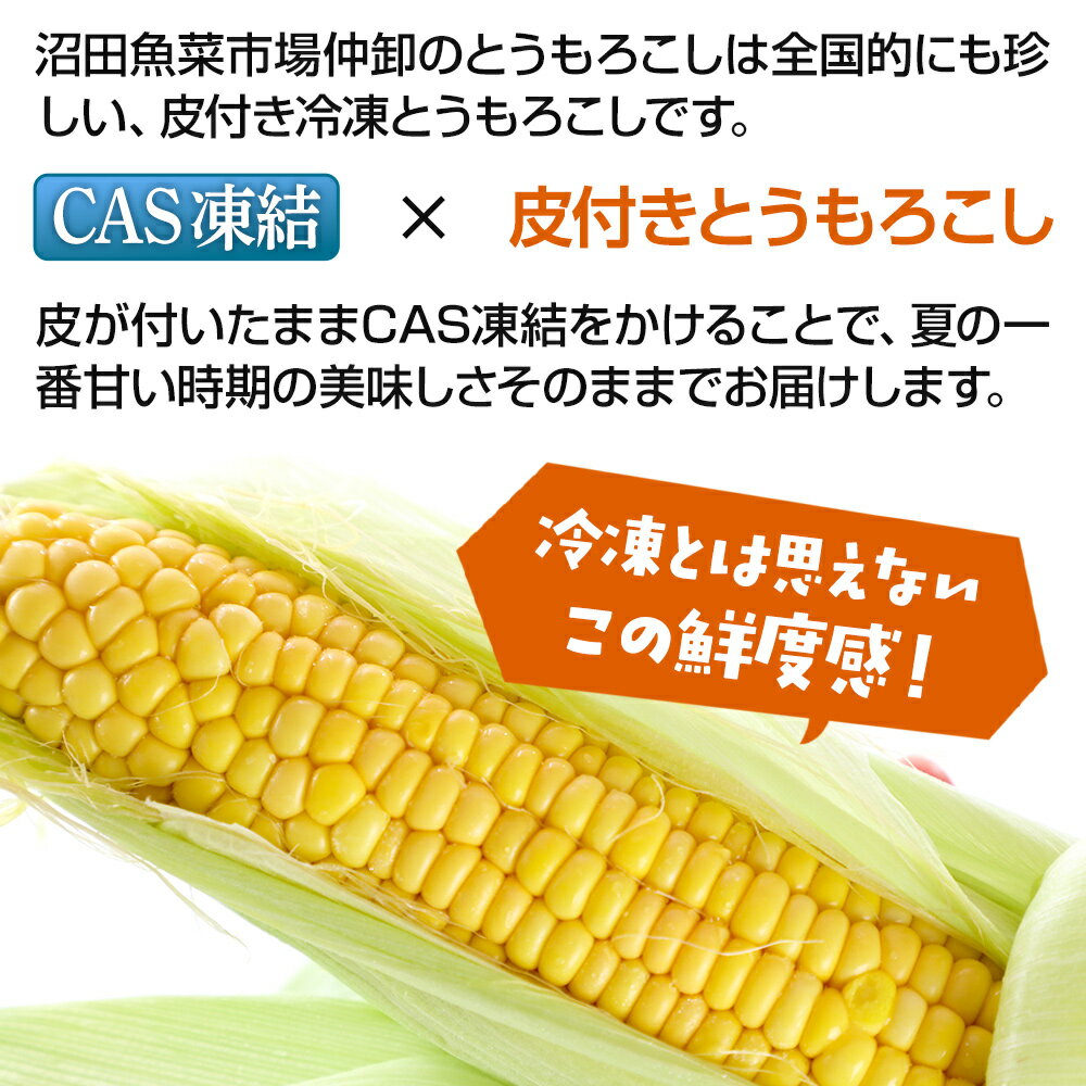 【ふるさと納税】CAS印 利根沼田産 皮付き とうもろこし 5本 株式会社沼田魚菜市場仲卸 - 画像3