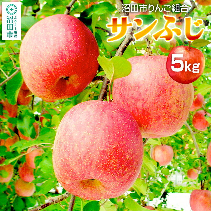 《12月中旬〜下旬発送》沼田市りんご組合 りんご（サンふじ）約5kg 群馬県沼田市