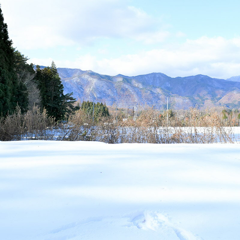 【ふるさと納税】群馬県沼田市 皇海山キャンプフォレスト宿泊利用補助券 20,000円分 サムネイル3