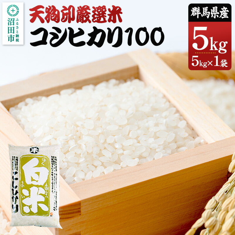 令和7年産 天狗印厳選米「コシヒカリ100」5kg 精米 白米 こしひかり