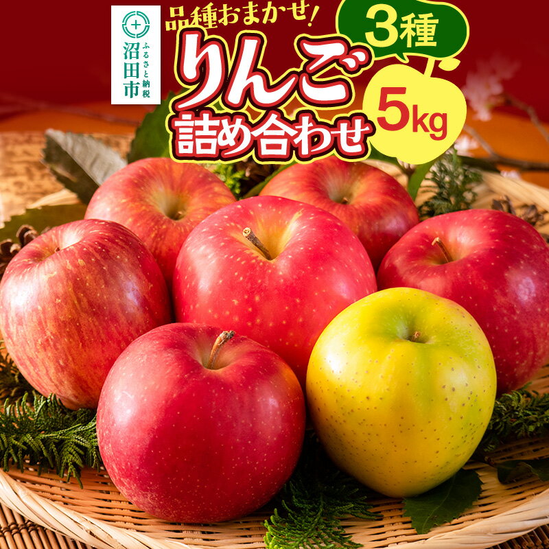 《10月中旬〜11月下旬発送》品種おまかせ りんご詰め合わせ 3種 5kg 真田りんご園