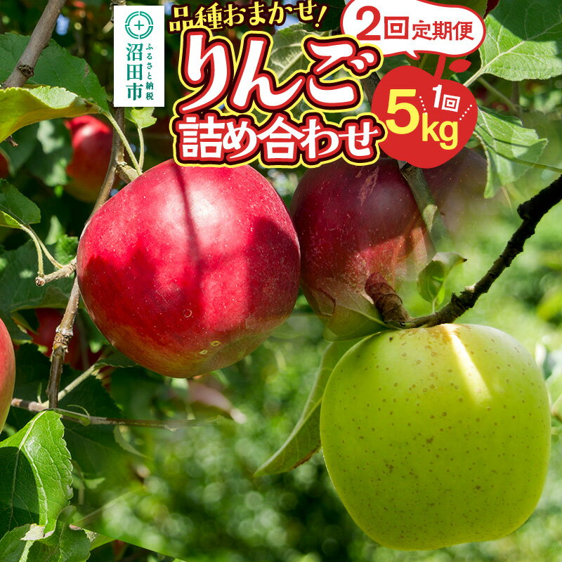 《11月上旬・11月下旬発送》定期便 品種おまかせ りんご詰め合わせ 1種5kg×2回 真田りんご園