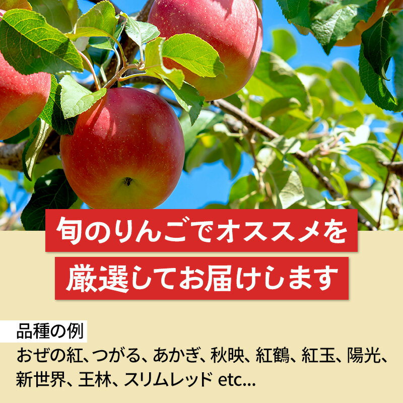 【ふるさと納税】《10月中旬〜11月下旬発送》品種おまかせ りんご詰め合わせ 3種 5kg 真田りんご園 サムネイル2
