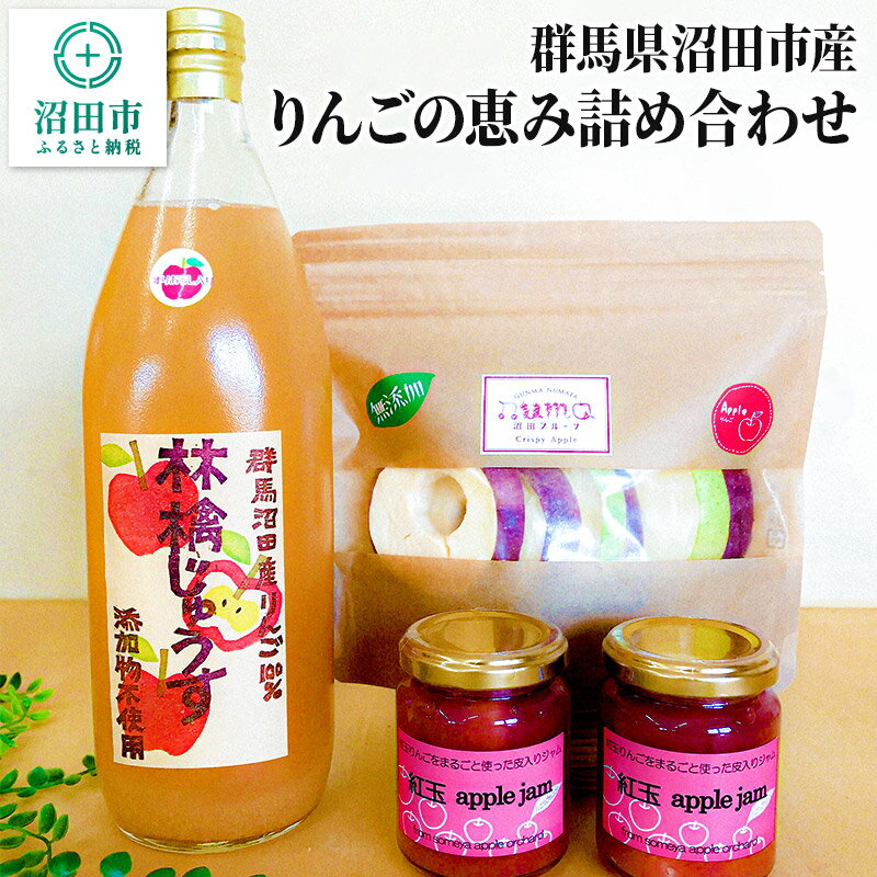 群馬県沼田市産 りんごの恵み詰め合わせ