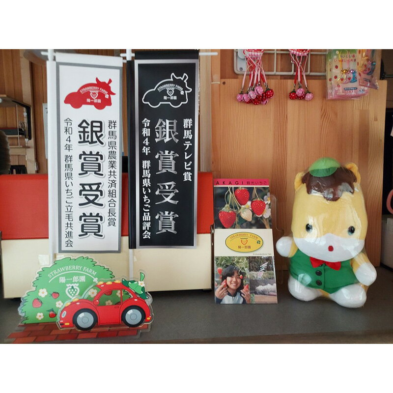 【ふるさと納税】陽一郎園のいちご「やよいひめ」 1kg以上 いちご イチゴ 苺 期間限定 フルーツ 果物 F4H-0036 サムネイル3