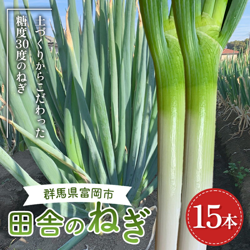 田舎のねぎ（15本） 糖度30 長ネギ 長ねぎ 長葱 ねぎ ネギ 有機肥料 野菜 食品 F21E-023