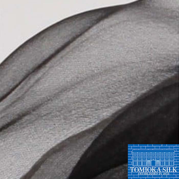 【ふるさと納税】 シルクオーガンジーストール 「モノトーン」＜黒＞ プレミアム ストール 黒 ブラック 富岡シルク 絹 春繭 シルク 国産 F21E-381 サムネイル3