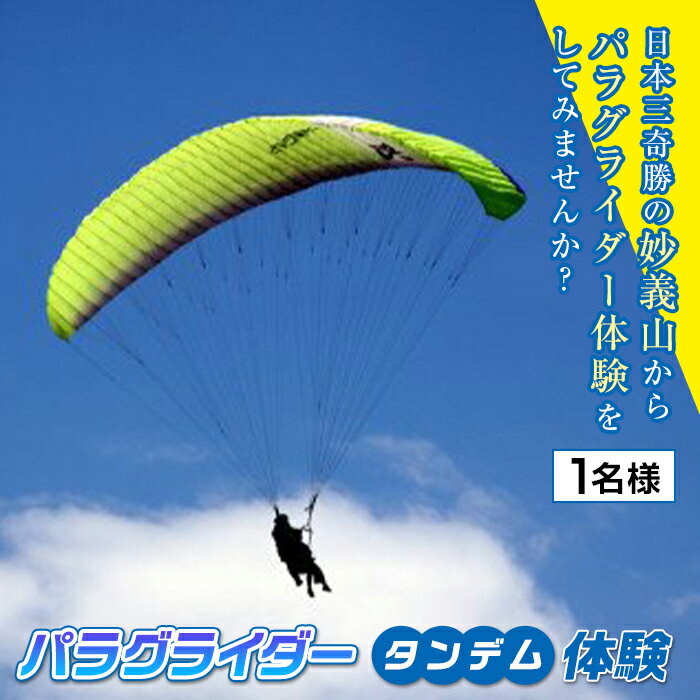《妙義スカイパーク》 パラグライダータンデム体験 (1名様分) 妙義山 パラグライダー 体験 フライト スポーツ F20E-713