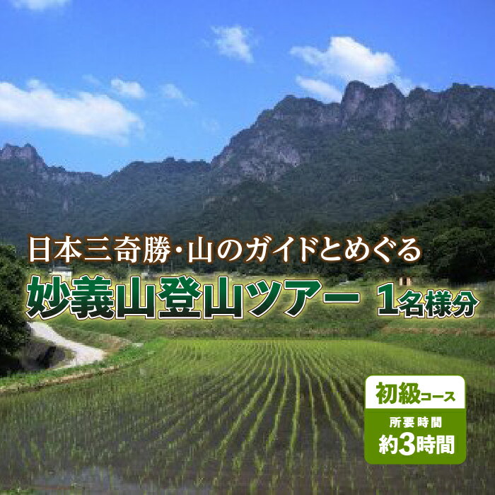日本三奇勝・山のガイドとめぐる妙義山登山ツアー1名様分《初級コース》 F20E-719