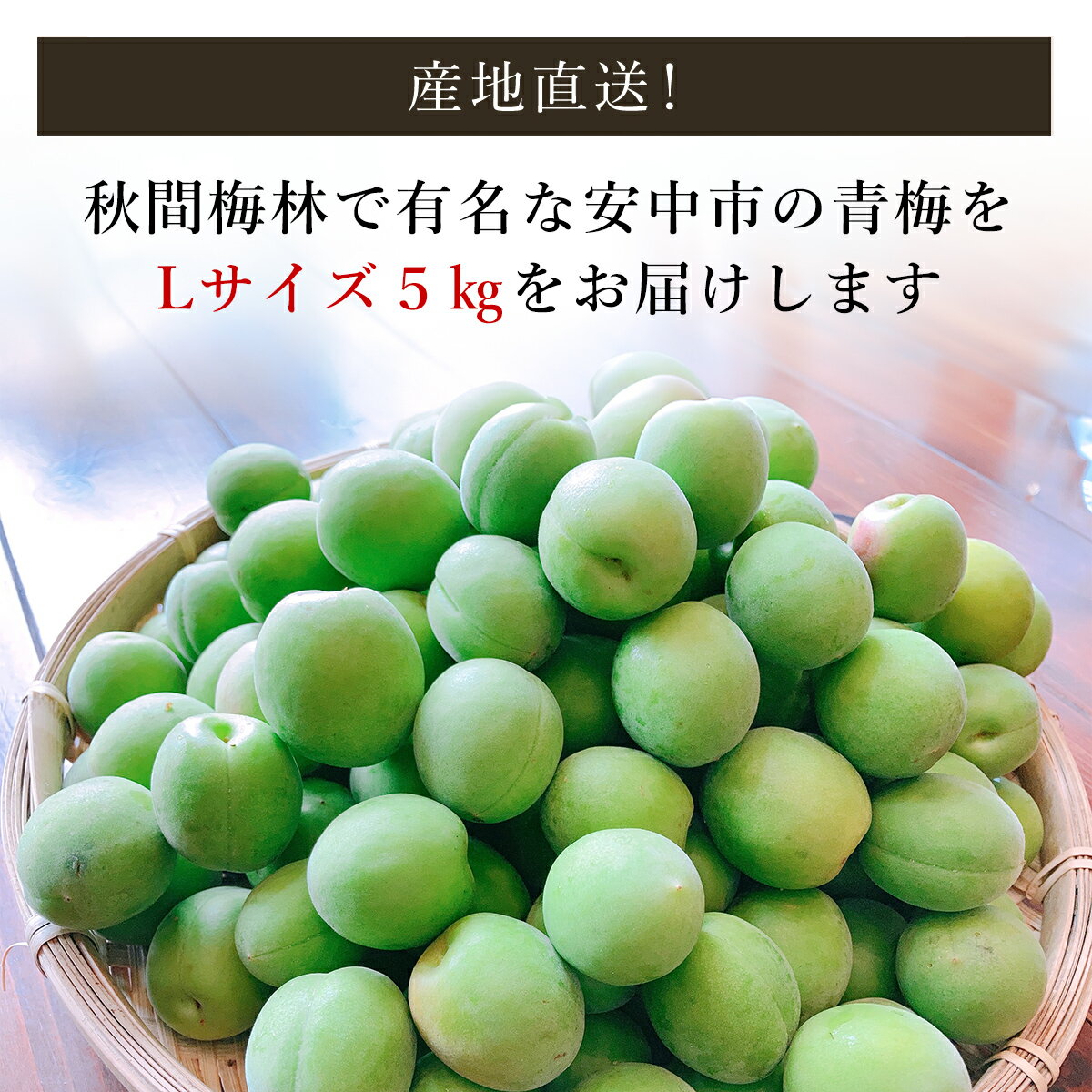 【ふるさと納税】【2026年発送分先行予約】旬をお届け！青梅【Lサイズ5kg】 ANAR018 サムネイル2
