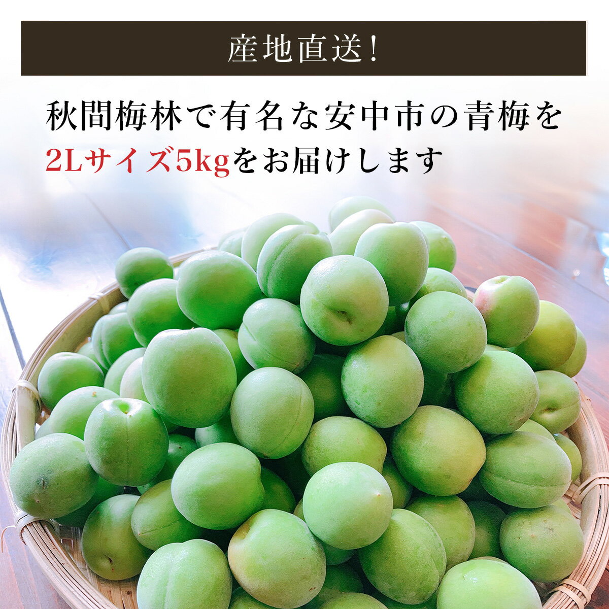 【ふるさと納税】【2026年発送分先行予約】旬をお届け！青梅【2Lサイズ5kg】 ANAR019 サムネイル2