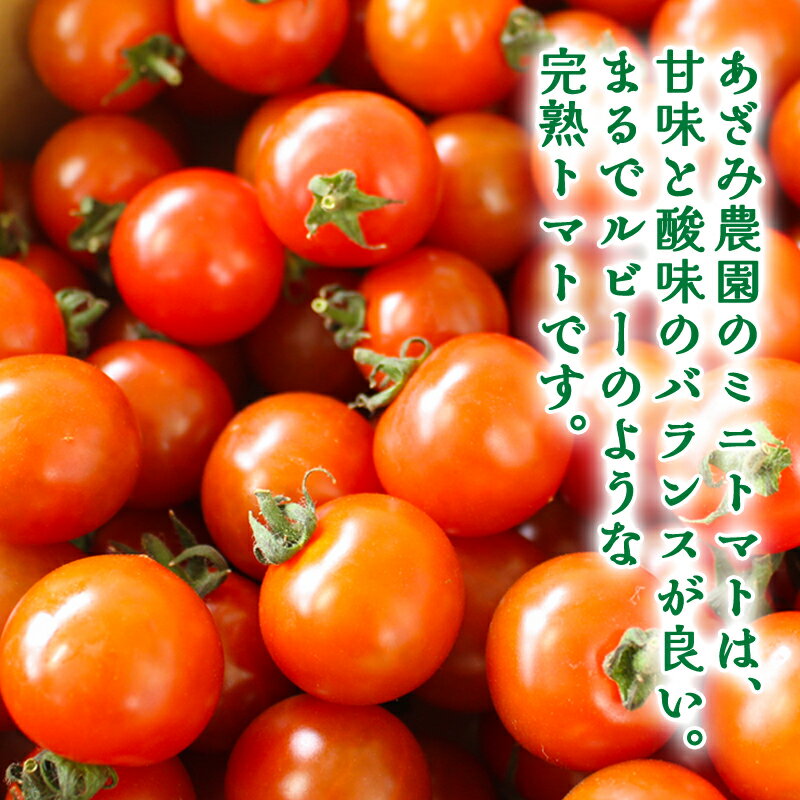 【ふるさと納税】【1】ミニトマト1kg サムネイル3