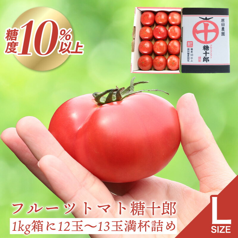 【a009】フルーツトマト糖十郎（Lサイズ）