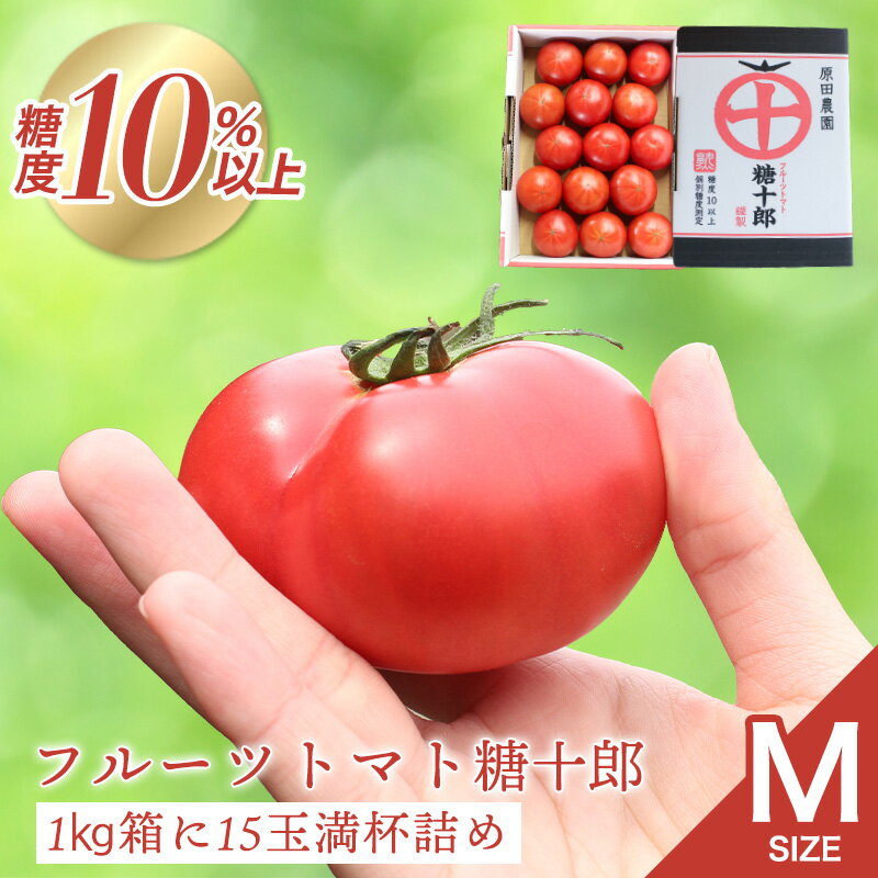 【a010】フルーツトマト糖十郎（Mサイズ）