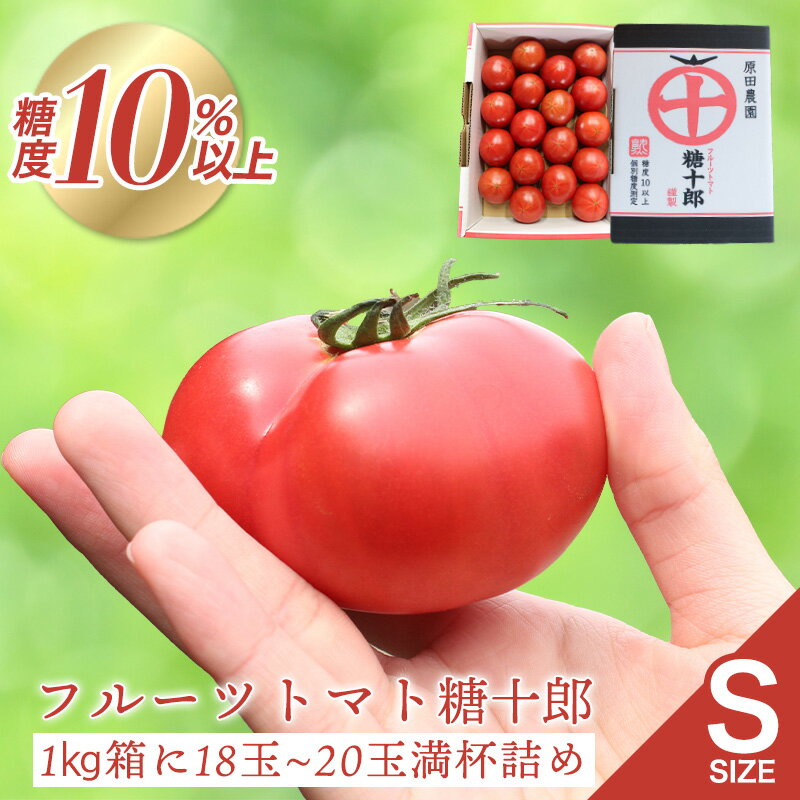 【a011】フルーツトマト糖十郎（Sサイズ）