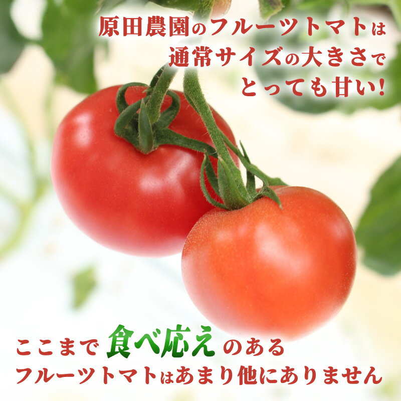 【ふるさと納税】【a011】フルーツトマト糖十郎（Sサイズ） - 画像3