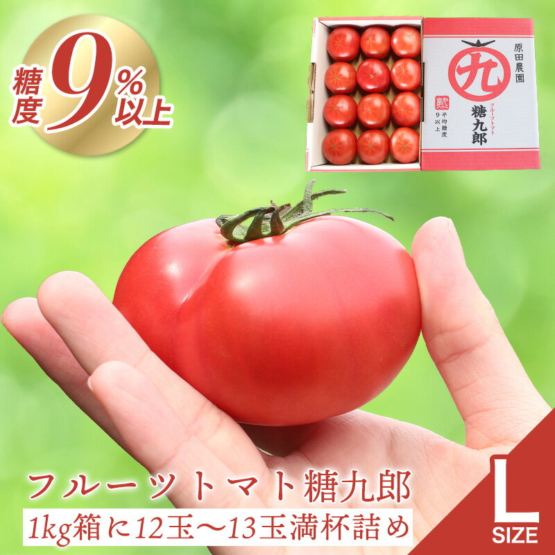 【a012】フルーツトマト糖九郎（Lサイズ）