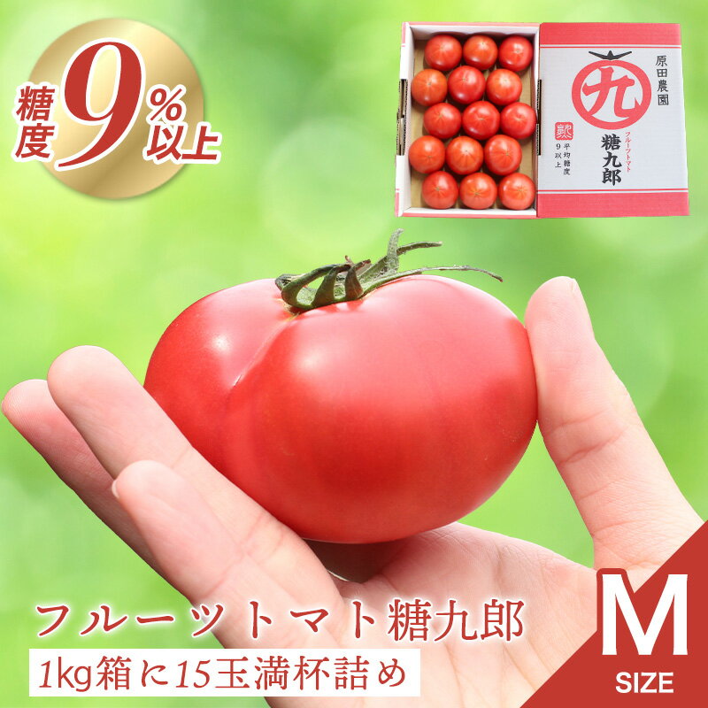 【a013】フルーツトマト糖九郎（Mサイズ）