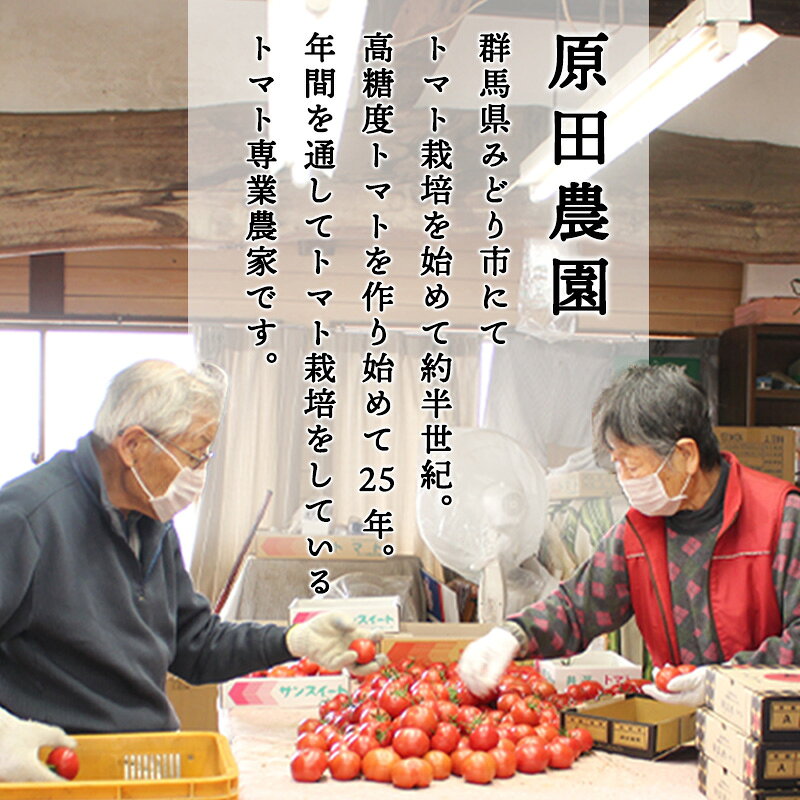 【ふるさと納税】【a013】フルーツトマト糖九郎（Mサイズ） - 画像2