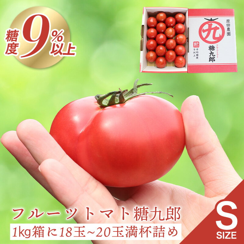 【a014】フルーツトマト糖九郎（Sサイズ）