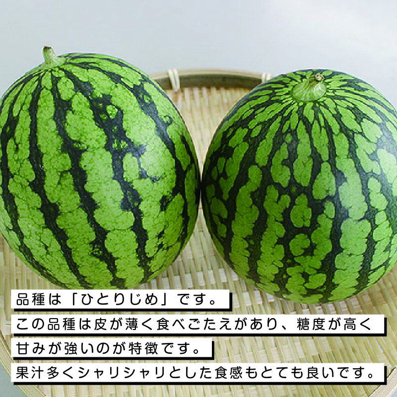 【ふるさと納税】【102】シャリシャリ食感の小玉すいか5玉 [商品発送:3～4月頃] サムネイル2