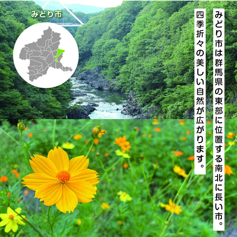 【ふるさと納税】【102】シャリシャリ食感の小玉すいか5玉 [商品発送:3～4月頃] サムネイル3