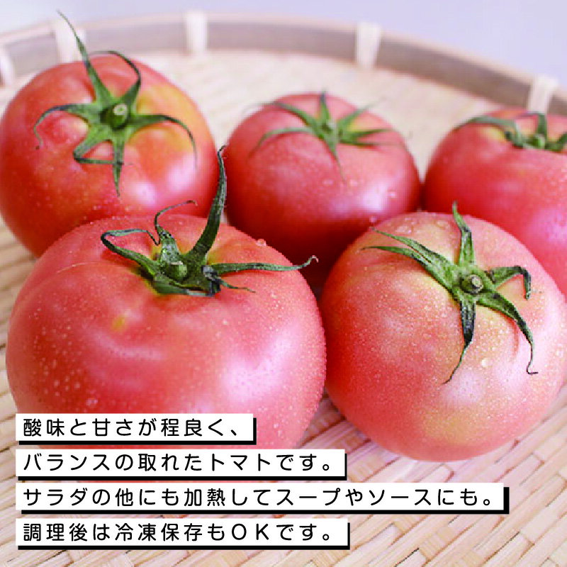 【ふるさと納税】【34】大玉トマト 24玉 [商品発送:3～5月頃] - 画像2