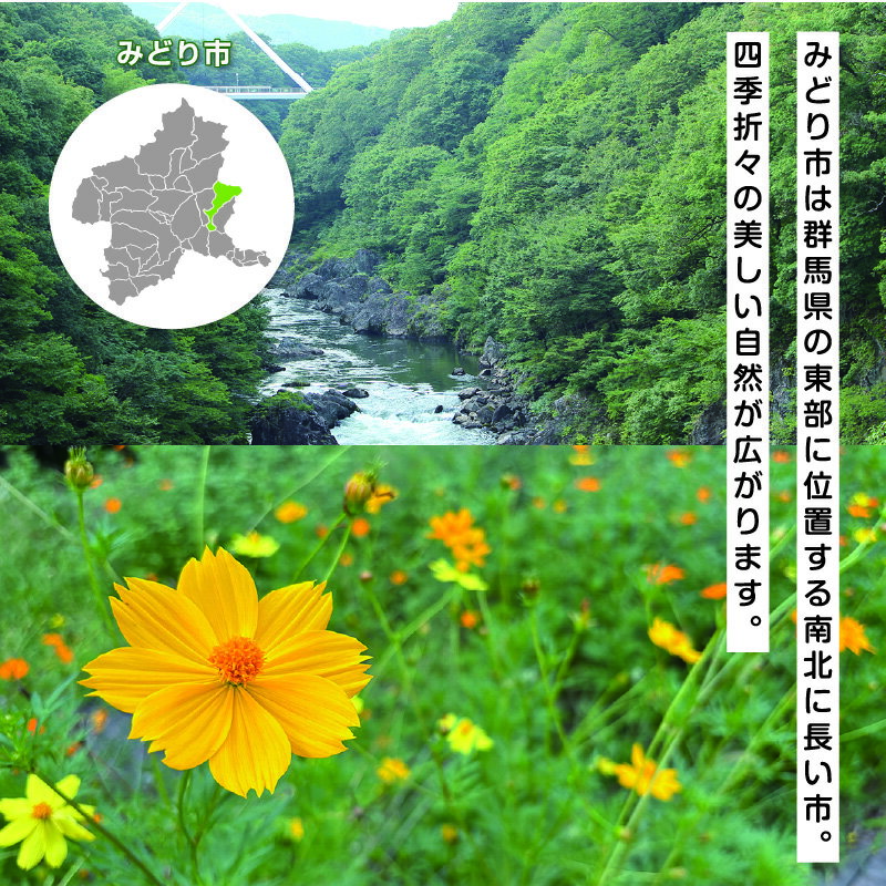 【ふるさと納税】【34】大玉トマト 24玉 [商品発送:3～5月頃] - 画像3