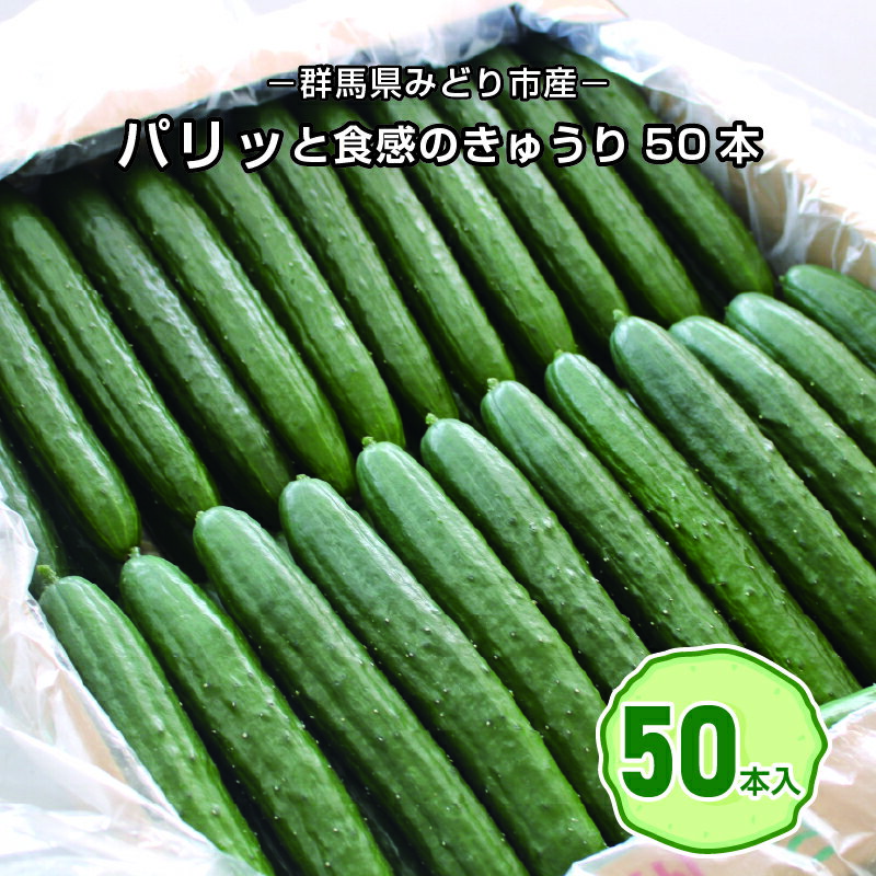 【71】パリッと食感のきゅうり50本 [商品発送:9～10月頃]