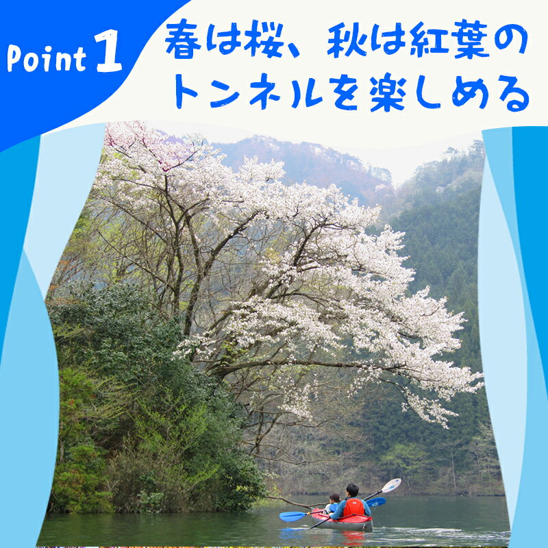 【ふるさと納税】【120】草木湖カヌー半日ツアー（シニア2名） サムネイル3