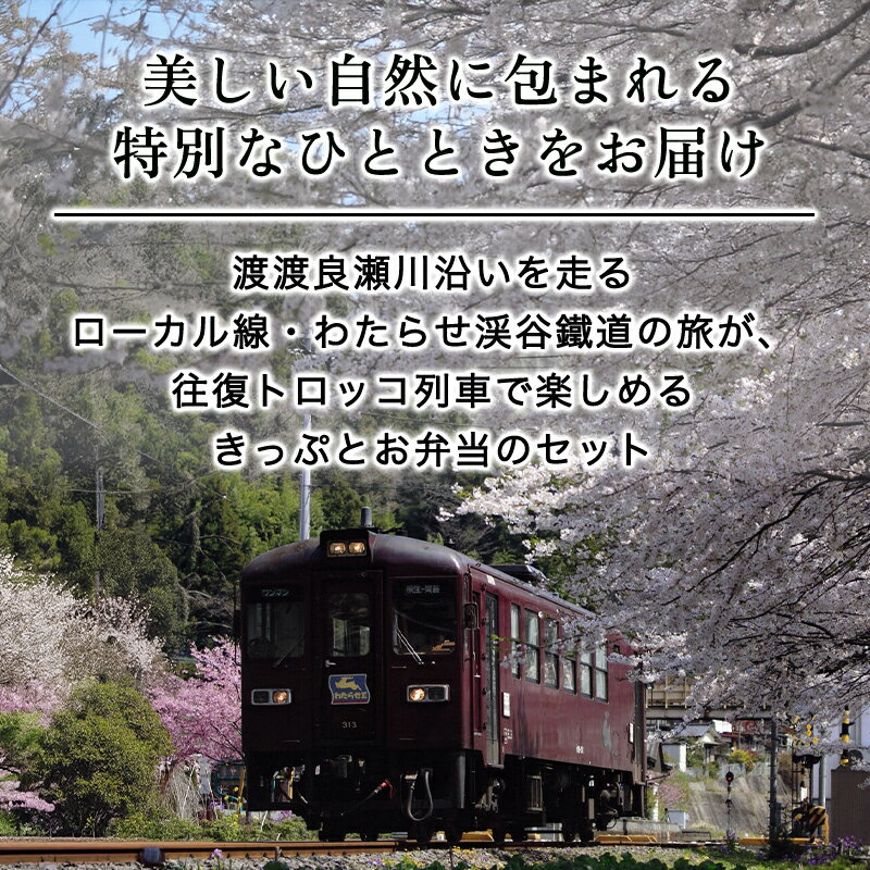 【ふるさと納税】【73】わたらせ渓谷鐵道「トロッコ列車の旅セット」※おとな1名用 - 画像2