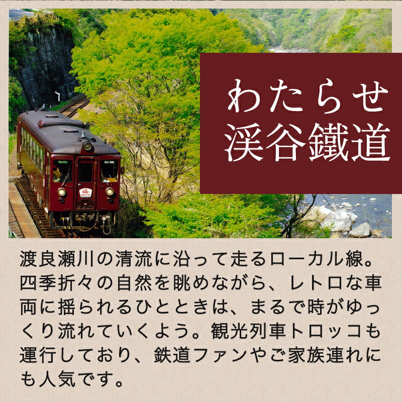 【ふるさと納税】【73】わたらせ渓谷鐵道「トロッコ列車の旅セット」※おとな1名用 - 画像3