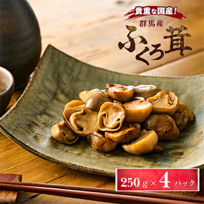 貴重な国産ふくろ茸　袋茸　フクロタケ【冷凍真空パック】丸いもの2パックと開いたもの2パック_ ふくろ茸 フクロタケ きのこ 国産 冷凍 美味しい 人気 詰め合わせ 【配送不可地域：離島】【1247918】