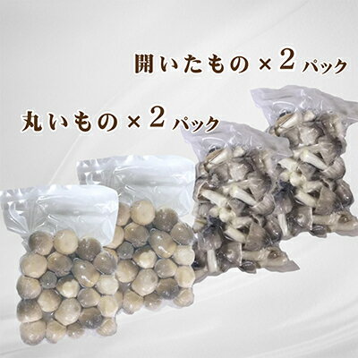【ふるさと納税】貴重な国産ふくろ茸　袋茸　フクロタケ【冷凍真空パック】丸いもの2パックと開いたもの2パック_ ふくろ茸 フクロタケ きのこ 国産 冷凍 美味しい 人気 詰め合わせ 【配送不可地域：離島】【1247918】 - 画像2