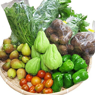 【ふるさと納税】八州高原マルシェ自慢の旬な野菜たち_ 野菜 セット 新鮮 旬野菜 美味しい 人気 詰め合わせ 【配送不可地域：離島】【1039760】 - 画像2