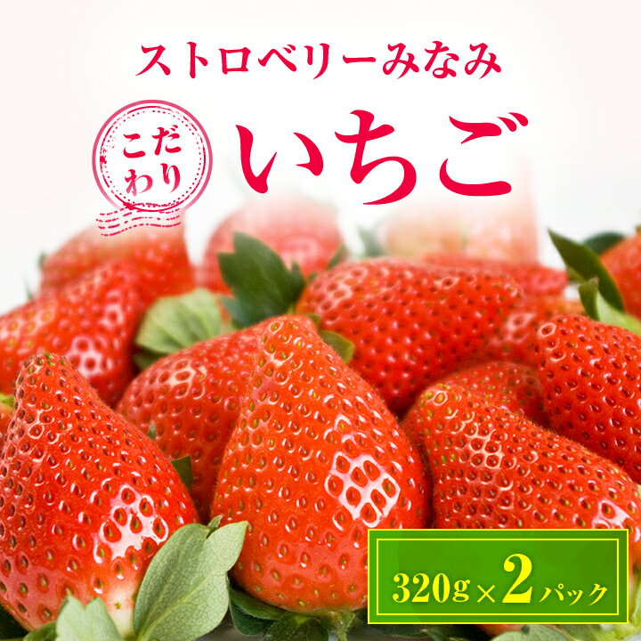 ストロベリーみなみ こだわり　『いちご』　320g×2パック【配送不可地域：離島】【1052500】