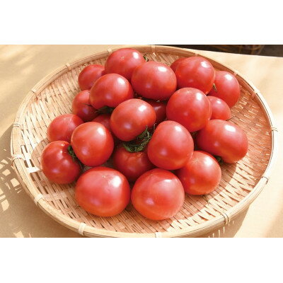 栗田温室農園の王様トマト(2kg箱)農林水産大臣賞受賞!【1376948】