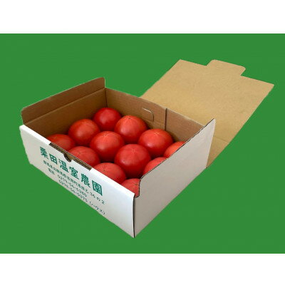 【ふるさと納税】栗田温室農園の王様トマト(2kg箱)農林水産大臣賞受賞!【1376948】 - 画像2