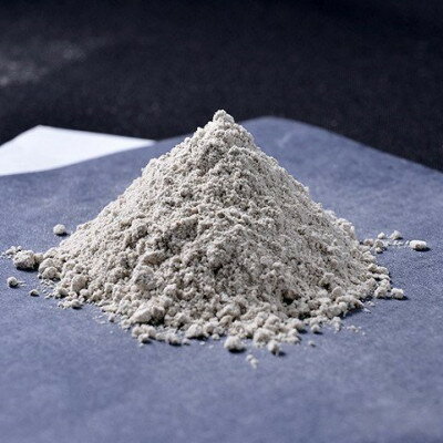 【ふるさと納税】【のし付き】まいたけ粉末(100g×2袋)【1429449】 - 画像2